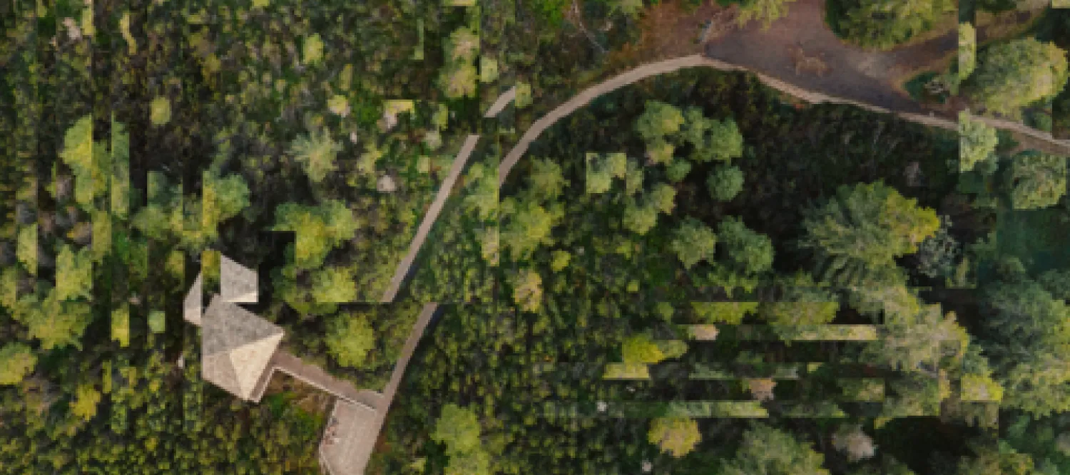 Lone Thomasky & Bits&Bäume / https://betterimagesofai.org / https://creativecommons.org/licenses/by/4.0/