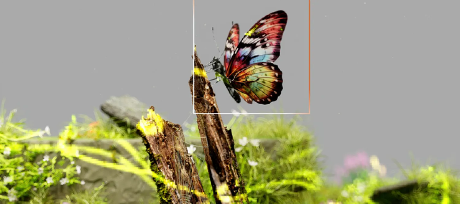 An image of a butterfly perched on a branch, framed in a square, surrounded by seemingly energised earthy elements which are seen in a pixellated form.