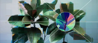 A photographic rendering of a young houseplant against a neutral background, seen through a refractive glass grid and overlaid with an single neuron from a neural network diagram.